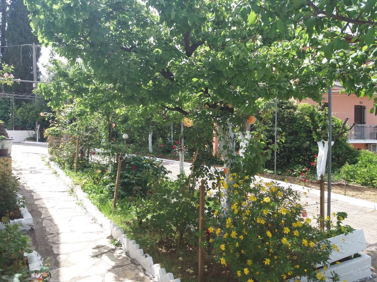 Athineos Apartments Κομμένο Εξωτερικό φωτογραφία